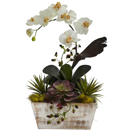 21&#x22; Orchid &#x26; Succulent Garden in White Wash Planter